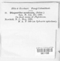 Image Associated With the Occurence